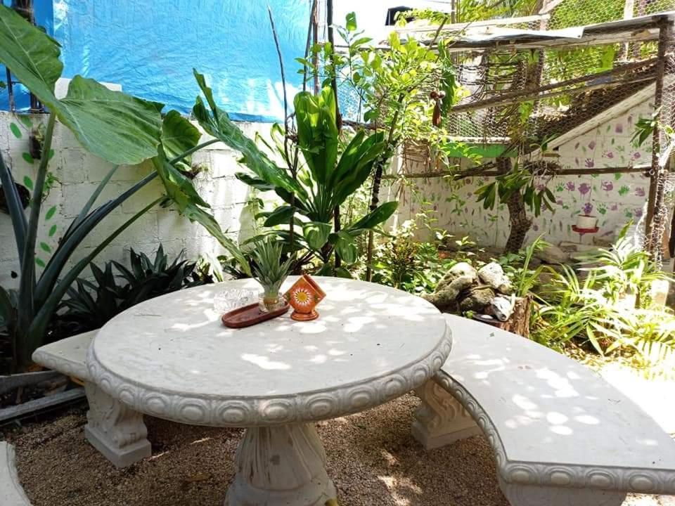Mi Cuartito En Bacalar Διαμέρισμα Εξωτερικό φωτογραφία